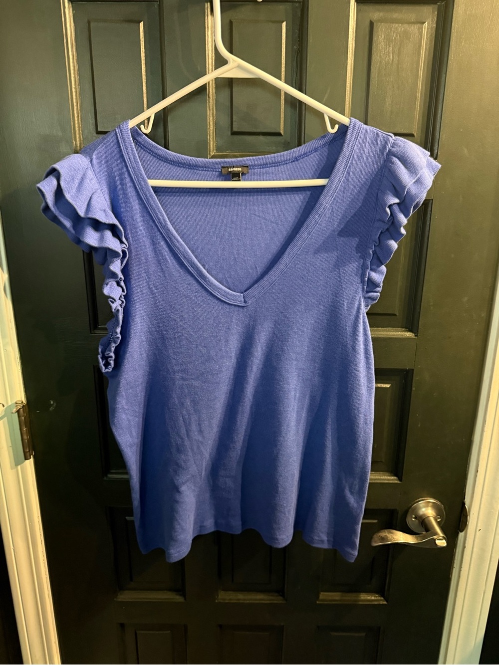 Express Women’s V-Neck Ruffle Sleeve Top - Blue